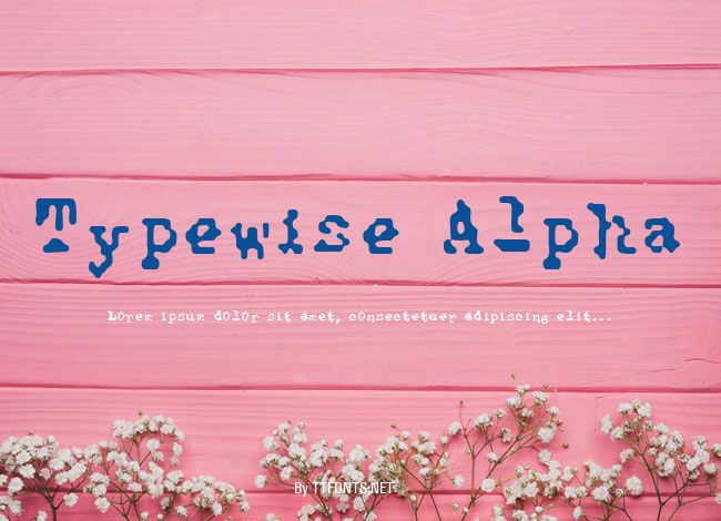 Typewise Alpha example